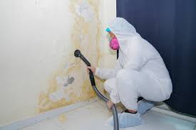 Best Industrial Mold Remediation  in Steep Falls, ME